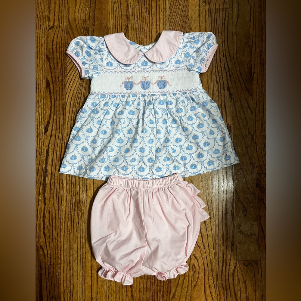 Charming Pink and Blue Diaper Cover Set